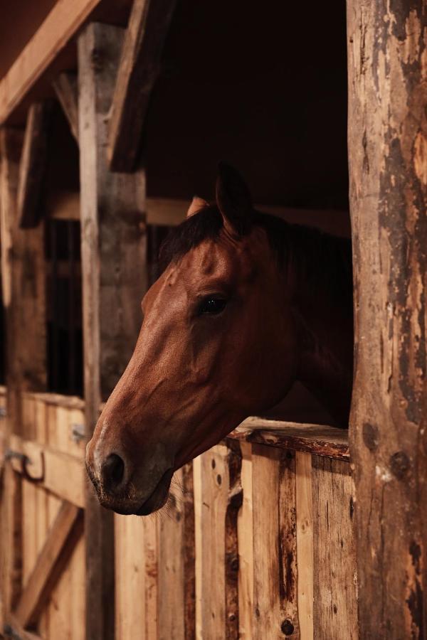 J A Ranch Bed & Breakfast Stromsnasbruk ภายนอก รูปภาพ