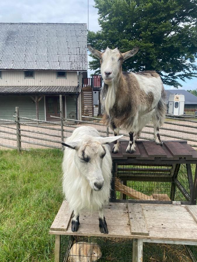J A Ranch Bed & Breakfast Stromsnasbruk ภายนอก รูปภาพ